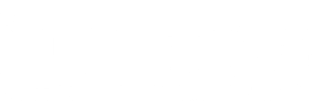 Polo Logo